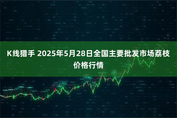 K线猎手 2025年5月28日全国主要批发市场荔枝价格行情