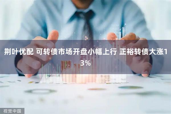 荆叶优配 可转债市场开盘小幅上行 正裕转债大涨13%