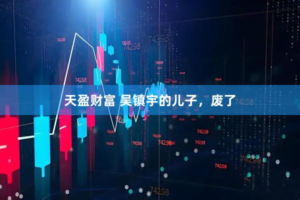 天盈财富 吴镇宇的儿子，废了