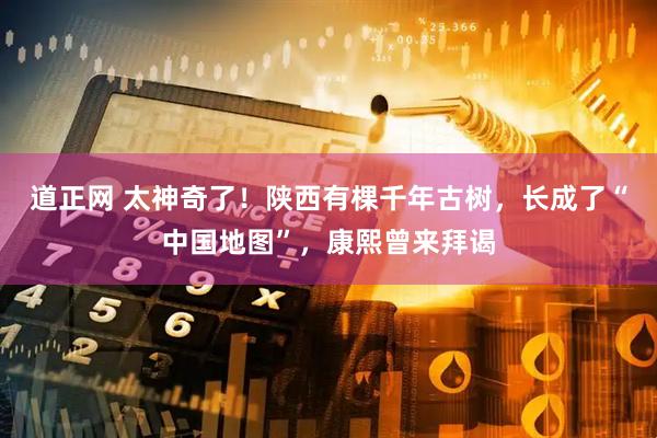 道正网 太神奇了！陕西有棵千年古树，长成了“中国地图”，康熙曾来拜谒