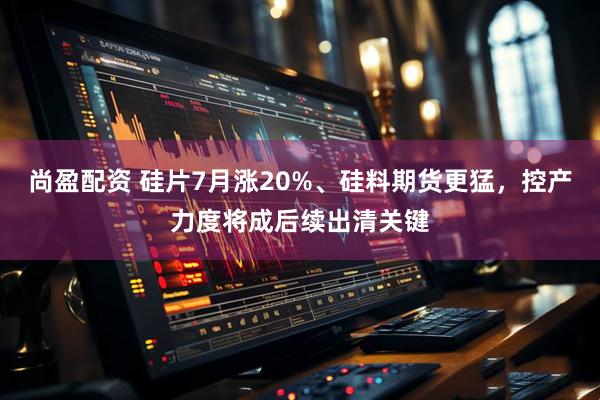 尚盈配资 硅片7月涨20%、硅料期货更猛，控产力度将成后续出清关键