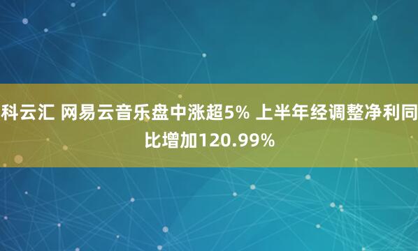 科云汇 网易云音乐盘中涨超5% 上半年经调整净利同比增加120.99%
