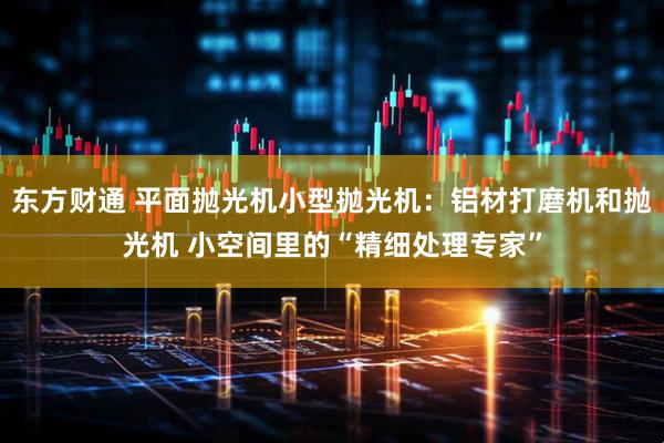 东方财通 平面抛光机小型抛光机：铝材打磨机和抛光机 小空间里的“精细处理专家”