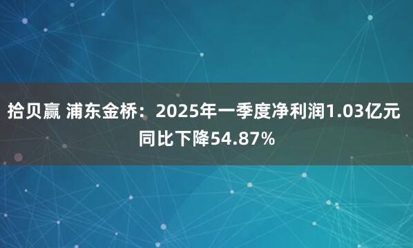 拾贝赢 浦东金桥：2025年一季度净利润1.03亿元 同比下降54.87%
