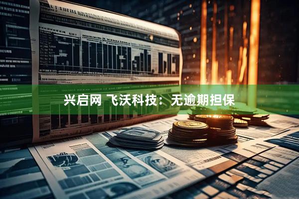 兴启网 飞沃科技：无逾期担保