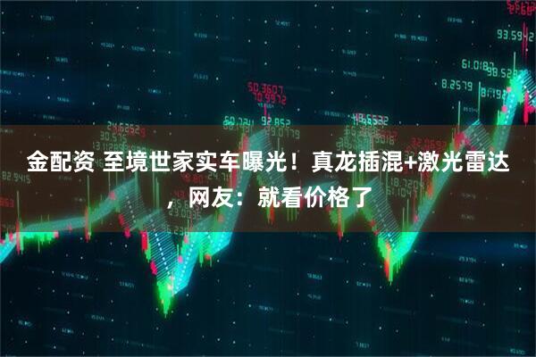 金配资 至境世家实车曝光！真龙插混+激光雷达，网友：就看价格了